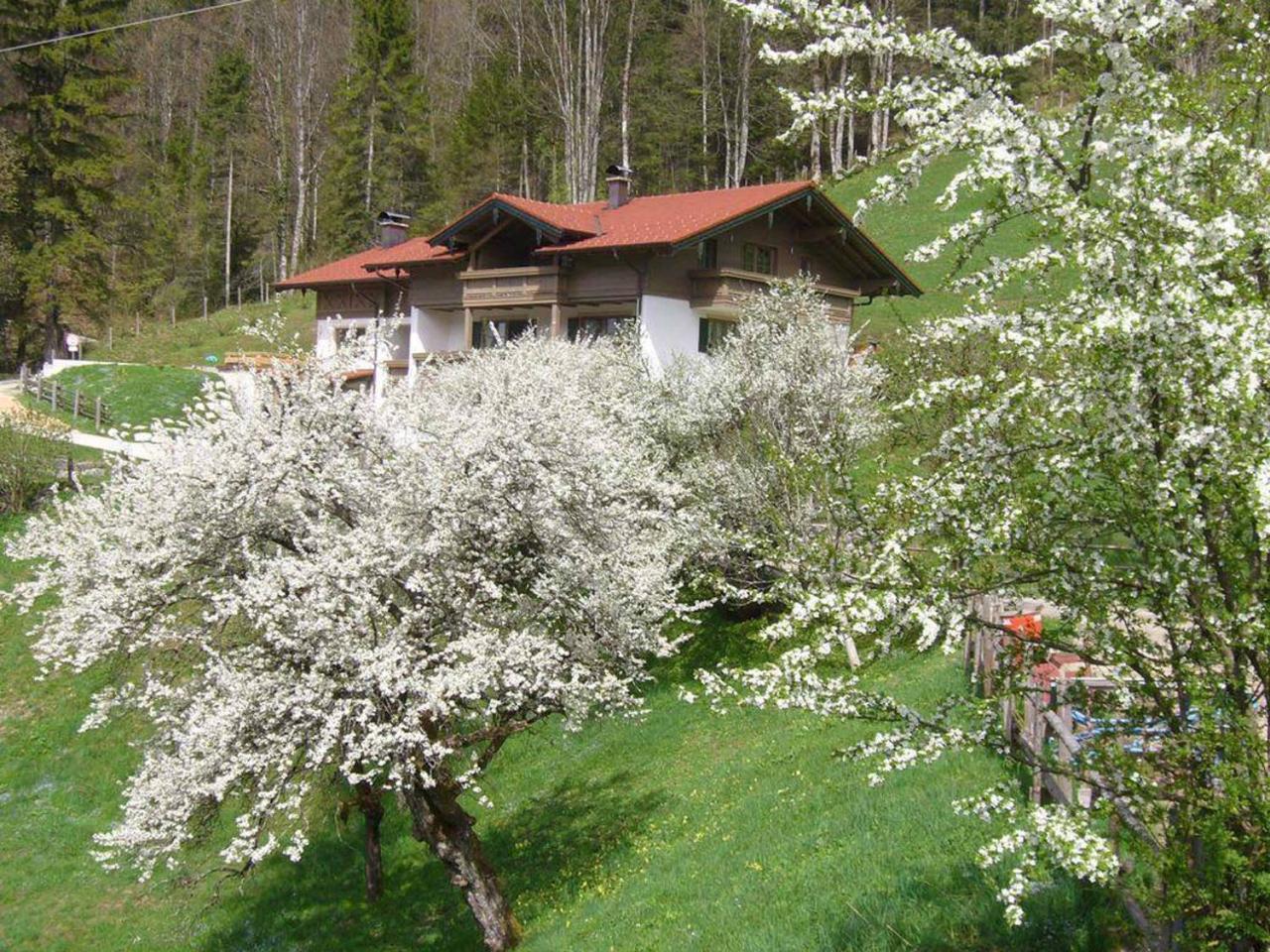 Haus Eicher Schneizlreuth Buitenkant foto